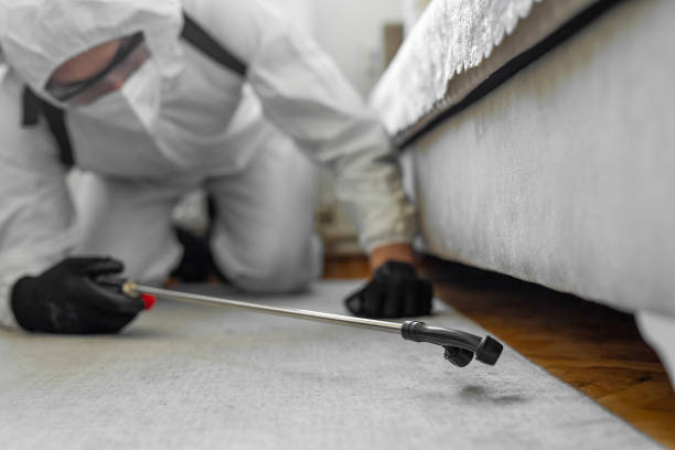 Professional Cockroach Control technician working in Cordaville, MA