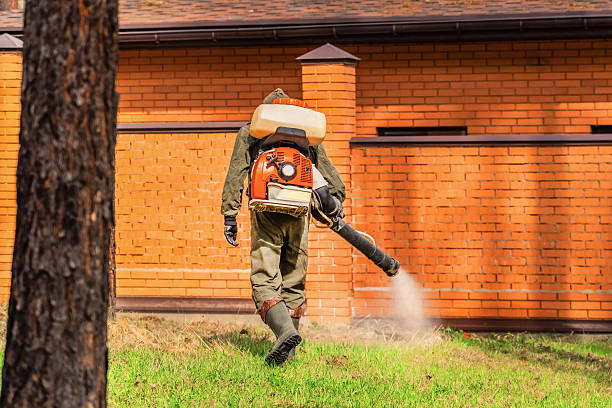 Trusted Ant Control service in Cordaville, MA - Nex Pest Control